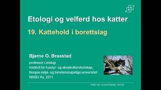 Kattehold i borettslag [upl. by Darline210]