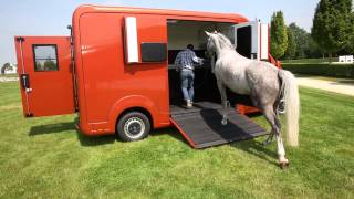 Présentation camion chevaux stx horses box par AllRoad Concept [upl. by Meean264]