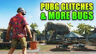 PUBG Glitches amp More Bugs  This Week in Gaming  FPS News [upl. by Ute986]