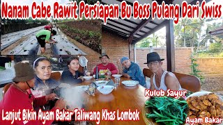 TIM WEDI LUWE MENANAM CABE UNTUK BU BOSS‼️Bikin ayam bakar taliwang Khas Lombok [upl. by Weibel]