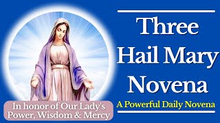 The 3 Hail Mary Novena  A Powerful Daily Novena [upl. by Adelaide]