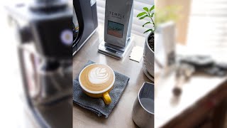 Practicing Latte Art Breville Barista Pro [upl. by Adrea493]