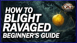 POE 325 Blight Ravaged Guide For Beginners Everything You Need To Complete The Map On Day 1 [upl. by Ard]