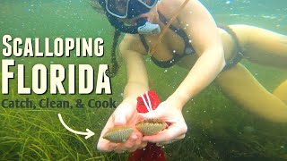 Scalloping Florida On a Gheenoe LT25  Catch Clean amp Cook [upl. by Onairelav]