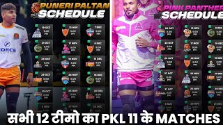 PKL 11 All 12 Teams Matches and Timing Playoffs Matches PKL 2024 [upl. by Suissac541]