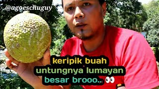 IDE BISNIS keripik buah [upl. by Tillo]