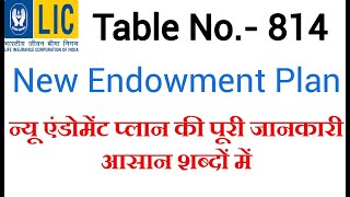 LIC NEW ENDOWMENT PLAN NO 814 IN HINDI  LIFE INSURANCE POLICY 814 IN HINDI 814 FULL DETAIL [upl. by Venable]