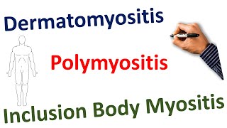 Dermatomyositis Polymyositis Inclusion Body Myositis STEP NCLEX COMLEX [upl. by Iaverne]