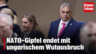 Ungarischer Wutausbruch NATOGipfel endet mit heftigem Eklat [upl. by Lladnik]