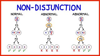 Chromosomal Abnormalities Aneuploidy and NonDisjunction [upl. by Atikat]