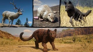 Playing as Legendary Animals in Red Dead Redemption 2 PC → Legendary  Panther Beaver Coyote Elk [upl. by Nylrebma300]