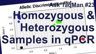 Homozygous vs Heterozygous Samples in qPCR  Ask TaqMan 23 [upl. by Julian]