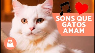 7 SONS QUE OS GATOS ADORAM 🐱🔊  Sons para ATRAIR seu GATO ✅ [upl. by Nelie]