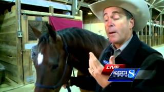 Horse bites reporter during live report [upl. by Ahsiad97]