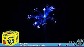 RA143129 Raccoon Fireworks 14G Pro Cake Blue mine blue tail spit blue dahlia [upl. by Rainger]