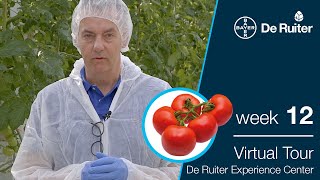 Virtual Tour De Ruiter Experience Center 22 maart 2024NL  English subtitles [upl. by Joellyn]