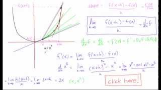 Differentiation explained [upl. by Natsirt]