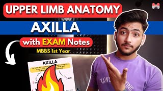 Upper Limb Anatomy  Axilla  MBBS 1st Year  Full Explanation With Exam Notes  MBBS World [upl. by Barbi700]