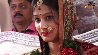 Wedding Highlight  laadki  Latest Video 2019 [upl. by Grimaldi]