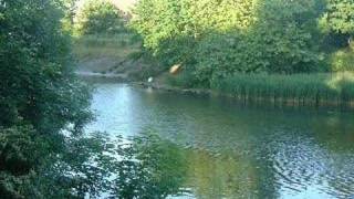 Leg OMutton Nature Reserve in BARNES LONDON Parks [upl. by Alley]