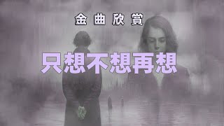 金曲欣賞  只想不想再想 歌詞版 Just Dont Want to Think About You Anymore with Lyric [upl. by Yzeerb411]