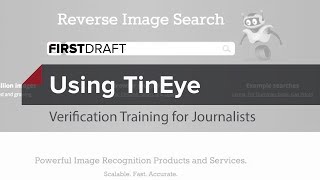 Reverse Image Search With TinEye [upl. by Leasa]