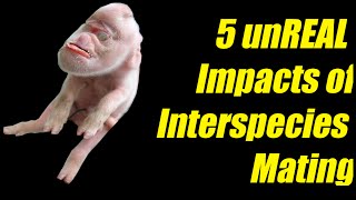 5 Unreal Results of Interspecies Mating [upl. by Birdie]