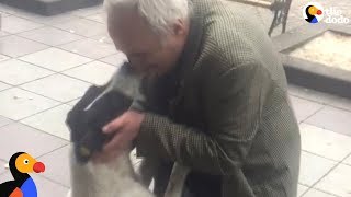 Man Films Himself Reuniting With Dog After 3 Years Apart  The Dodo [upl. by Mairam]