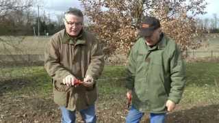 Cours de taille des arbres fruitiers  Le sécateur [upl. by Mattland597]