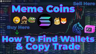 Solana Meme Coins  How To Find Profitable Wallets amp Copy Trade  Trading Bot Full Tutorial [upl. by Awhsoj]