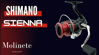 Review  Molinete Shimano  Sienna 1000 [upl. by Ramas]