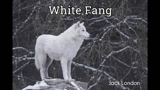 White Fang by JACK LONDON  FULL AudioBook  Free AudioBooks [upl. by Dilaw]