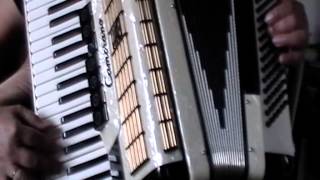 Camerano by Scandalli Accordion 35 Reeds 120 bass [upl. by Nomis]