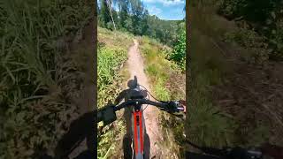 Fast section mtb downhill [upl. by Argyres]