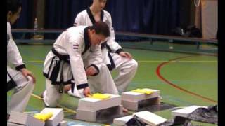 2nd Dan Exam Tang Soo Do Bergschenhoek April 2008 [upl. by Aicila]