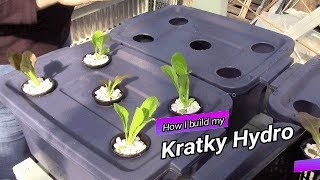 Kratky hydroponics Mini bins [upl. by Maggio]