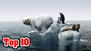 Top 10 Reasons Why CLIMATE CHANGE Is NO LONGER A Debate [upl. by Salomo]