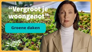 Groene daken alles over de impact en voordelen [upl. by Yddeg840]