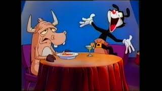 Animaniacs  Newsreel Of The Stars  Intro German VHS [upl. by Eilyac28]