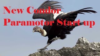 Condor Paramotor with Vittorazi Moster 185 Startup [upl. by Elaine465]