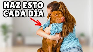 15 COSAS científicamente probadas que hacen FELICES a los PERROS [upl. by Else167]