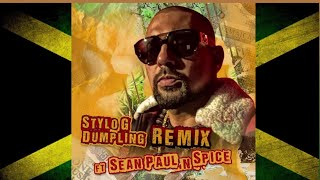 Stylo G Feat Sean Paul Spice  Dumpling Official Audio [upl. by Rozalie]