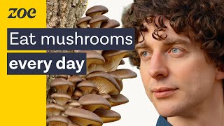 Mushrooms as medicine Uncovering the health secrets of fungi  Merlin Sheldrake amp Prof Tim Spector [upl. by Center]