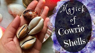 The Secret Spiritual Powers Of Cowries how to use Cowries to Attract Money Love Favour [upl. by Ahaelam]