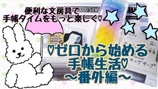 【初心者の手帳】便利な文房具で手帳タイムを楽しく可愛く有意義に♪【SystemDiary】 [upl. by Merill]