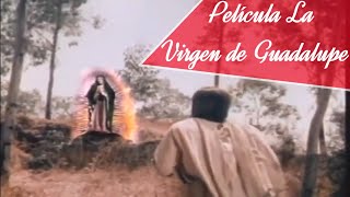 Película quotLa Virgen de Guadalupequot Narra la Historia de las Apariciones de la Virgen de Guadalupe [upl. by Godard961]