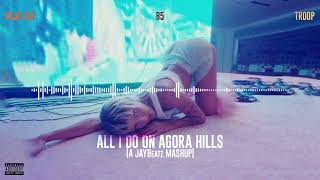 Doja Cat Troop amp B5  All I Do on Agora Hills A JAYBeatz Mashup HVLM [upl. by Ylerebmik]