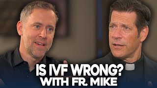 IVF What is the problem  Fr Mike Schmitz [upl. by Arelc]