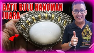 HARGA BATU AKIK PERMATA BULU TUMPANG HANOMAN THOMSONITE JUARA  JAKARTA GEMSTONES MARKET INDONESIA [upl. by Nesyrb325]