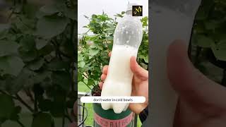 Watering plants tips youtubeshorts gardening shorts viral [upl. by Rodnas623]